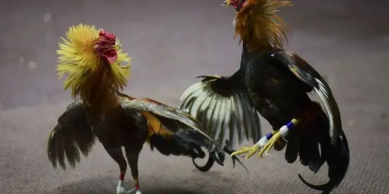 Mọi người cần xây dựng khẩu phần ăn hợp lý